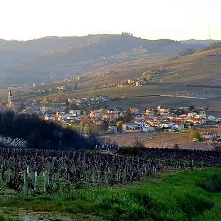 Au Coeur Des Vignes Chenas Du Beaujolais Daire La Chapelle-de-Guinchay Dış mekan fotoğraf