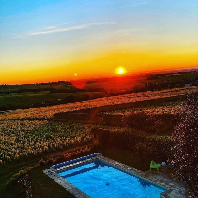 Au Coeur Des Vignes Chenas Du Beaujolais Daire La Chapelle-de-Guinchay Dış mekan fotoğraf