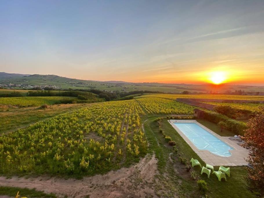 Au Coeur Des Vignes Chenas Du Beaujolais Daire La Chapelle-de-Guinchay Dış mekan fotoğraf